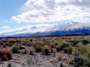 eastern sierra