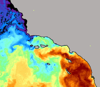 AVHRR SST Composite